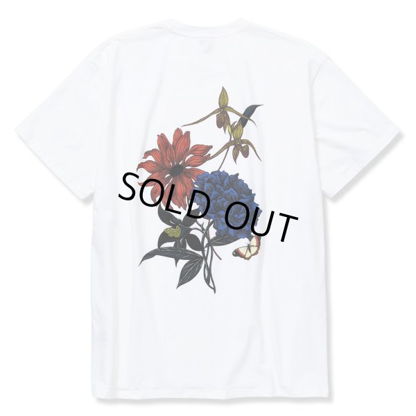 画像1: CALEE/×Miho Murakami Stretch flower pattern t-shirt（ホワイト）［プリントT-22春夏］