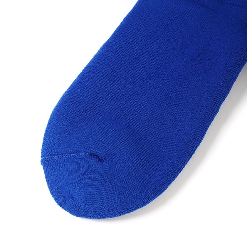 他の写真3: CHALLENGER/LOGO SOCKS（BLUE）［ロゴソックス-23春夏］