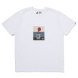 画像1: CHALLENGER/DAHLIA TEE（WHITE）［プリントT-23春夏］ (1)