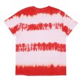 画像2: CHALLENGER/S/S TIE DYE BORDER TEE（RED BORDER）［タイダイボーダーT-23春夏］ (2)