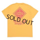 CHALLENGER/BD 2023 TOUR TEE（YELLOW）［プリントT-23春夏］