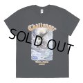 CHALLENGER/RISING BASS TEE（BLACK）［プリントT-23秋冬］