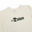 画像3: DAIRIKU/"The Dawn" Big Raglan Tour Tee（White）［ビッグラグランツアーT-23秋冬］ (3)