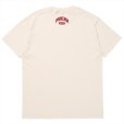 画像2: PORKCHOP/2nd COLLEGE TEE（CREAM）［プリントT-23秋冬］ (2)