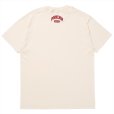 画像2: PORKCHOP/2nd COLLEGE TEE（CREAM）［プリントT-23秋冬］ (2)