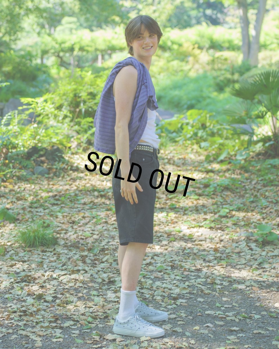 画像11: 【40%OFF】CONVERSE SKATEBOARDING/PRORIDE SK BoTT OX +（ICE BLUE）［スニーカー(×BoTT)-23秋冬］ (11)