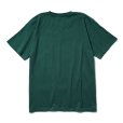 画像2: ROUGH AND RUGGED/DESIGN CT-01（IVY GREEN） 【30%OFF】［プリントT-23秋冬］ (2)