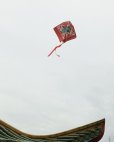 画像6: CHALLENGER/KITE DRAGON（RED）［カイト-23秋冬］