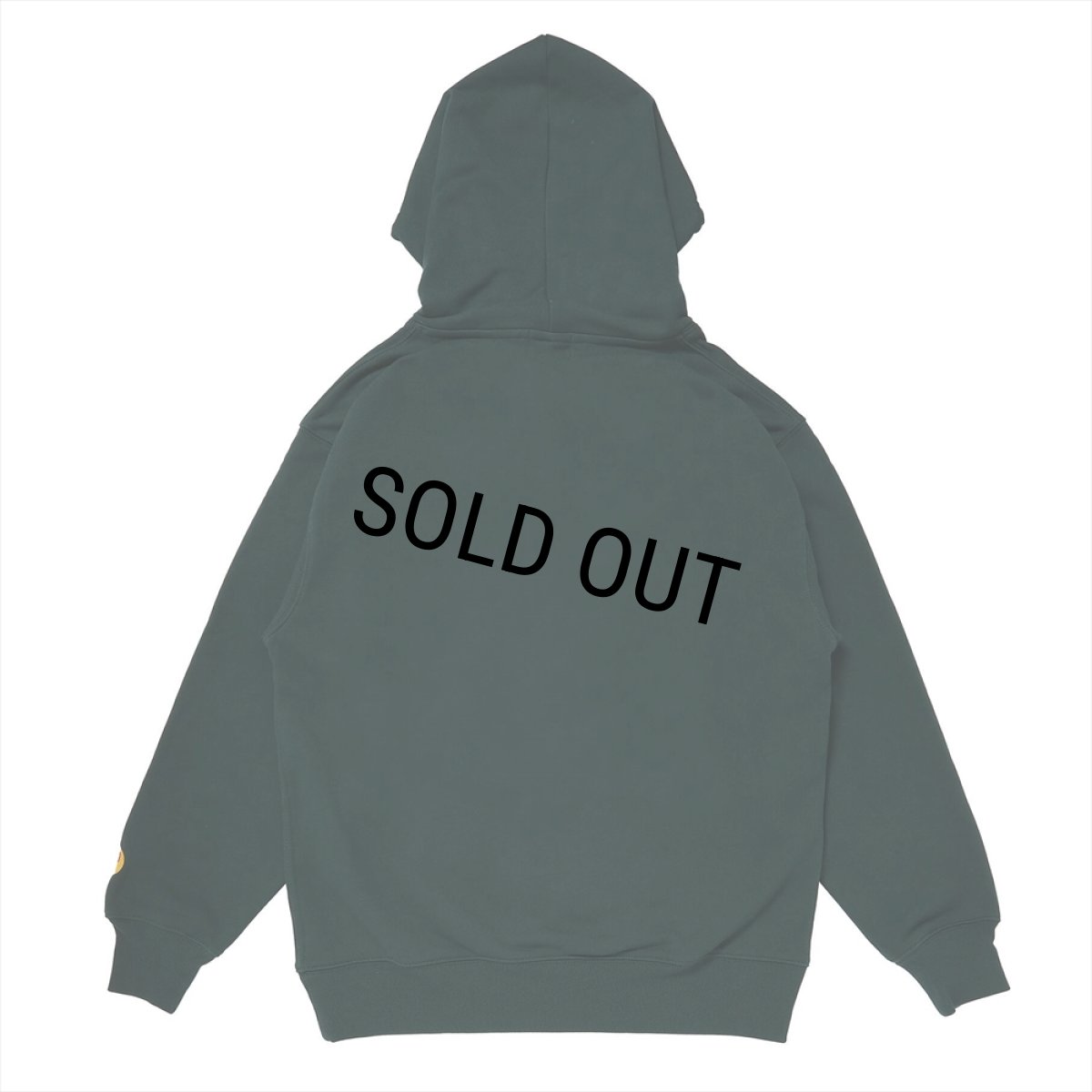 画像2: PORKCHOP/2nd COLLEGE HOODIE（FOREST）［プルオーバーパーカー-23秋冬］ (2)