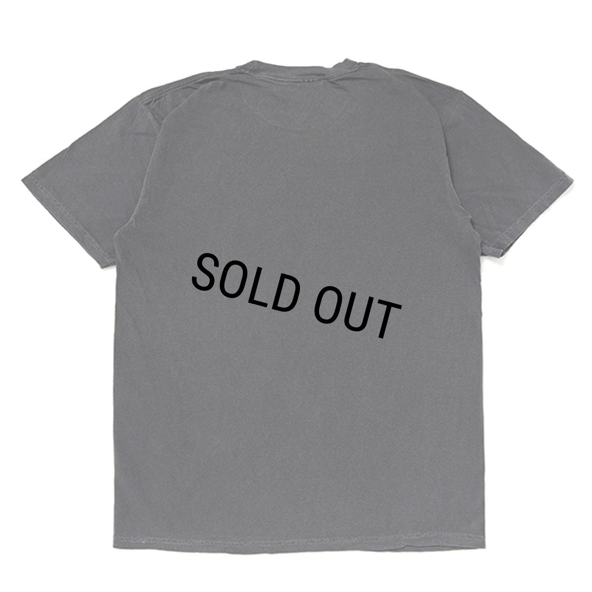 画像2: CHALLENGER/BD TIGER TEE（BLACK）［タイガーT-23秋冬］ (2)