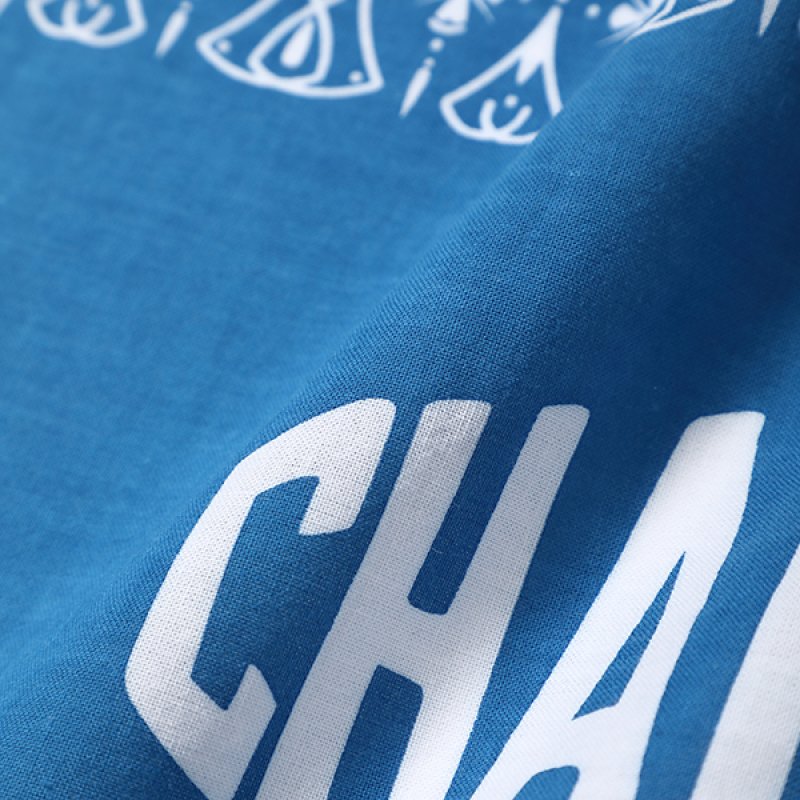 画像2: CHALLENGER/BANDANA TENUGI（BLUE）［手ぬぐい-24春夏］