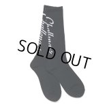 CHALLENGER/VERTICAL LOGO SOCKS（BLACK）［ヴァーティカルロゴソックス-24春夏］