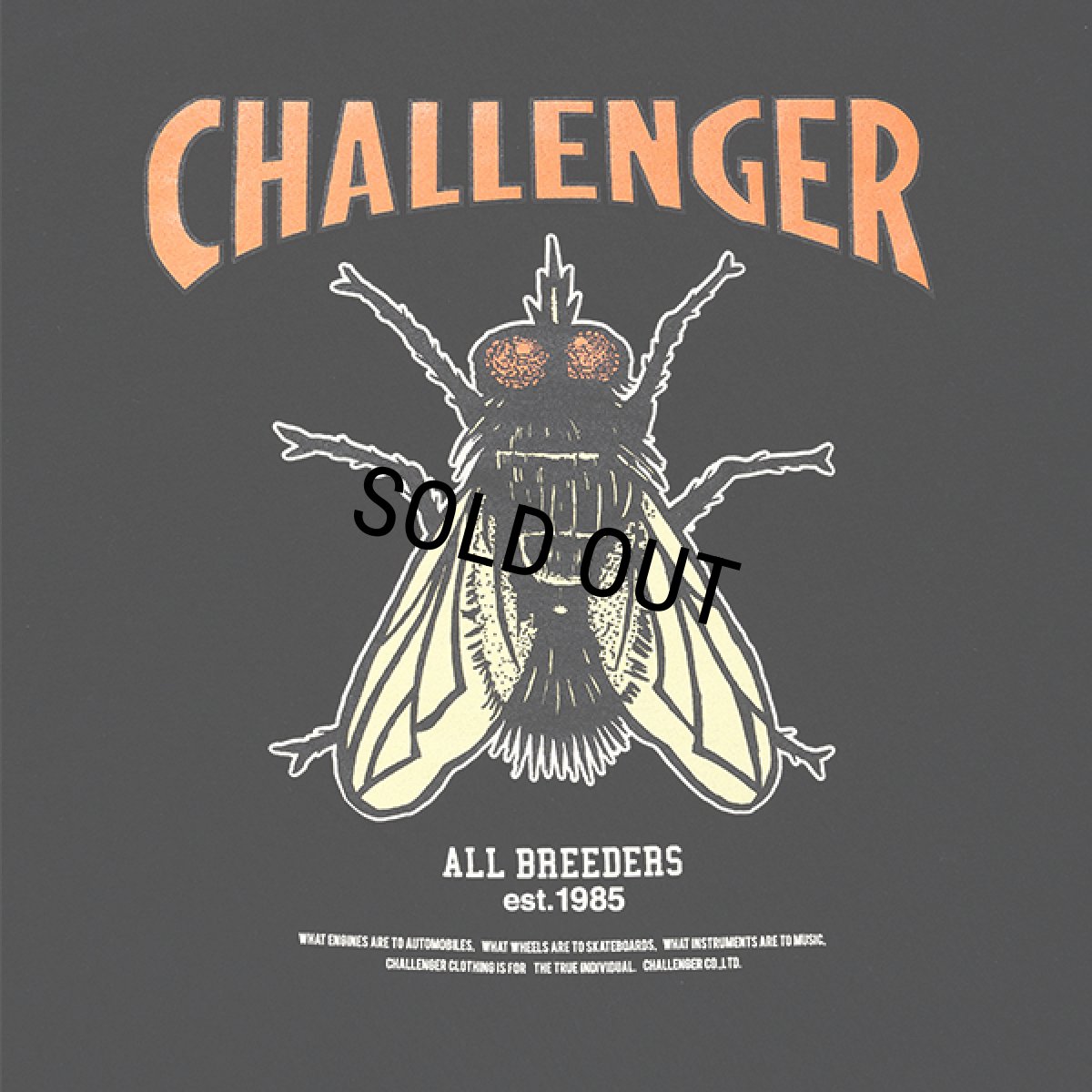 画像5: CHALLENGER/L/S HIBISCUS TEE（BLACK）［プリント長袖T-24春夏］ (5)