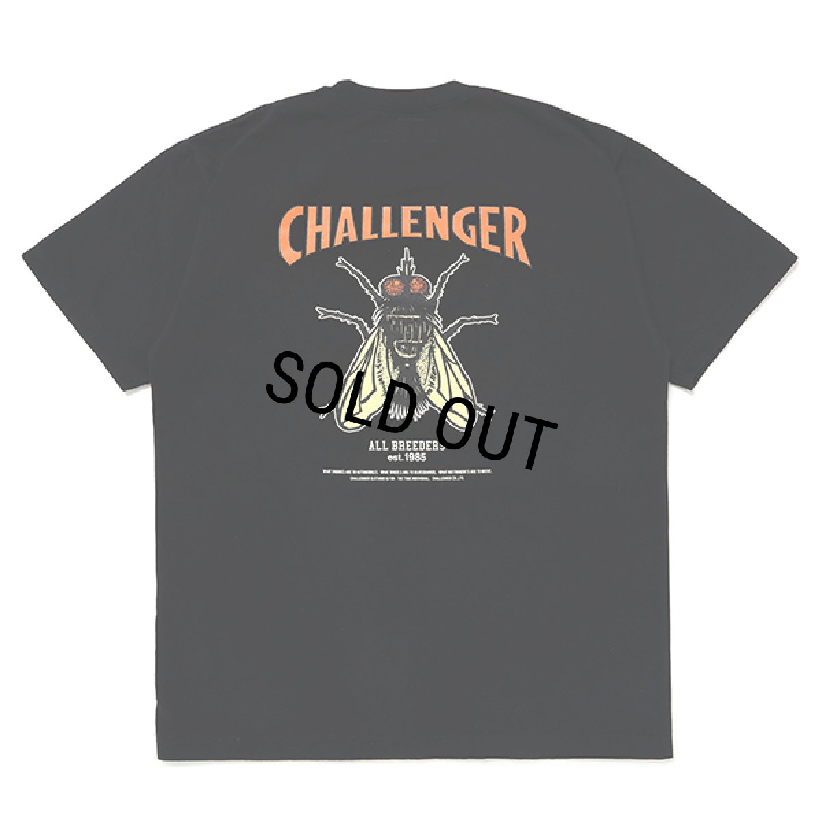 画像1: CHALLENGER/HIBISCUS TEE（BLACK）［プリントT-24春夏］ (1)