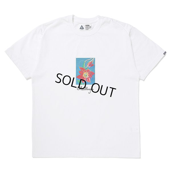 画像1: CHALLENGER/FLOWER TEE（WHITE）［プリントT-24春夏］