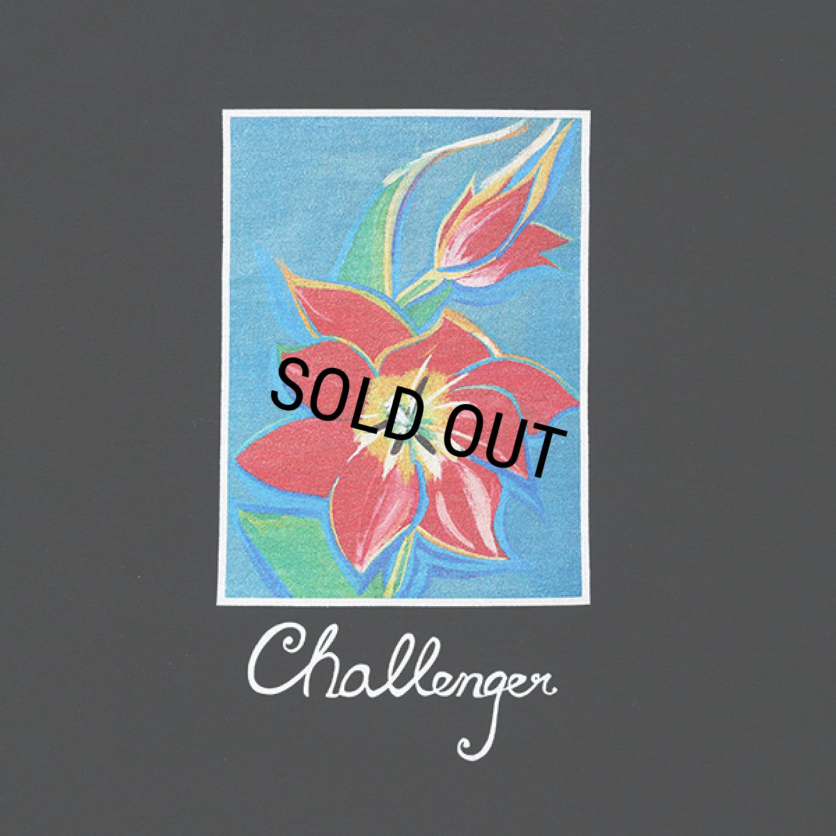 画像3: CHALLENGER/FLOWER TEE（BLACK）［プリントT-24春夏］ (3)