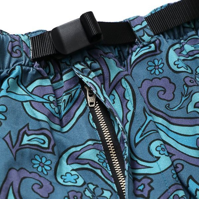 画像3: CHALLENGER/PAISLEY COTTON TWILL SHORTS（BLUE GRAY/PURPLE）［ペイズリーコットンツイルショーツ-24春夏］