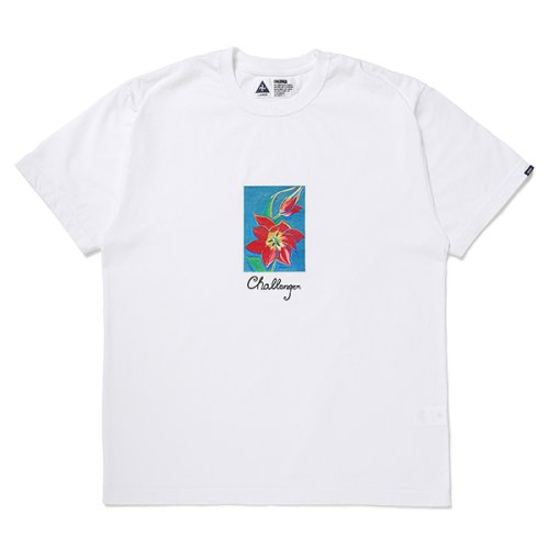 他の写真1: CHALLENGER/FLOWER TEE（WHITE）［プリントT-24春夏］