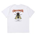 CHALLENGER/HIBISCUS TEE（WHITE）［プリントT-24春夏］