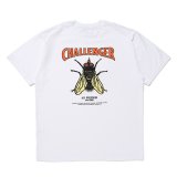 CHALLENGER/HIBISCUS TEE（WHITE）［プリントT-24春夏］