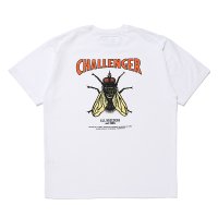 CHALLENGER/HIBISCUS TEE（WHITE）［プリントT-24春夏］