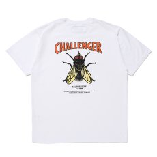 画像1: CHALLENGER/HIBISCUS TEE（WHITE）［プリントT-24春夏］ (1)