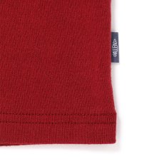 画像4: CHALLENGER/L/S MULTI BORDER TEE（BURGUNDY）［マルチボーダー長袖T-24春夏］ (4)