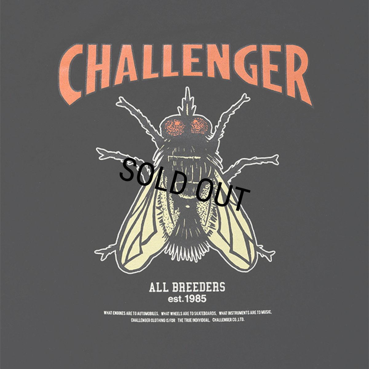 画像5: CHALLENGER/HIBISCUS TEE（BLACK）［プリントT-24春夏］ (5)