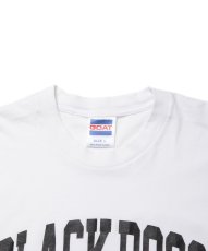 画像3: ROTTWEILER/PIGMENT B.D TEE（WHITE） 【30%OFF】［プリントT-24春夏］ (3)