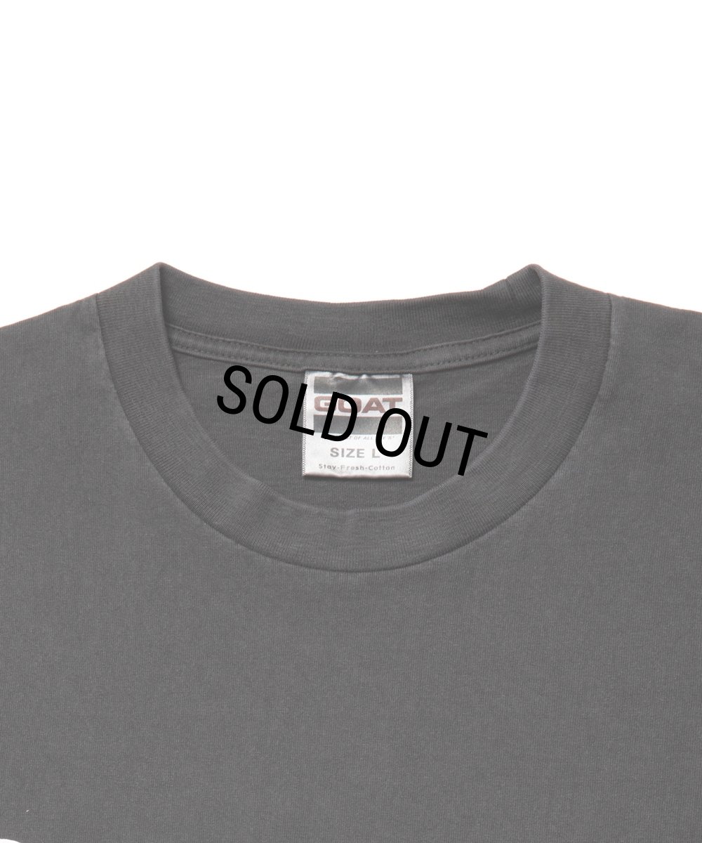 画像3: ROTTWEILER/PIGMENT CLASSIC TEE（CHARCOAL）［プリントT-24春夏］ (3)