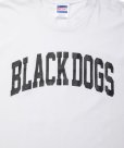 画像4: ROTTWEILER/PIGMENT B.D TEE（WHITE）［プリントT-24春夏］