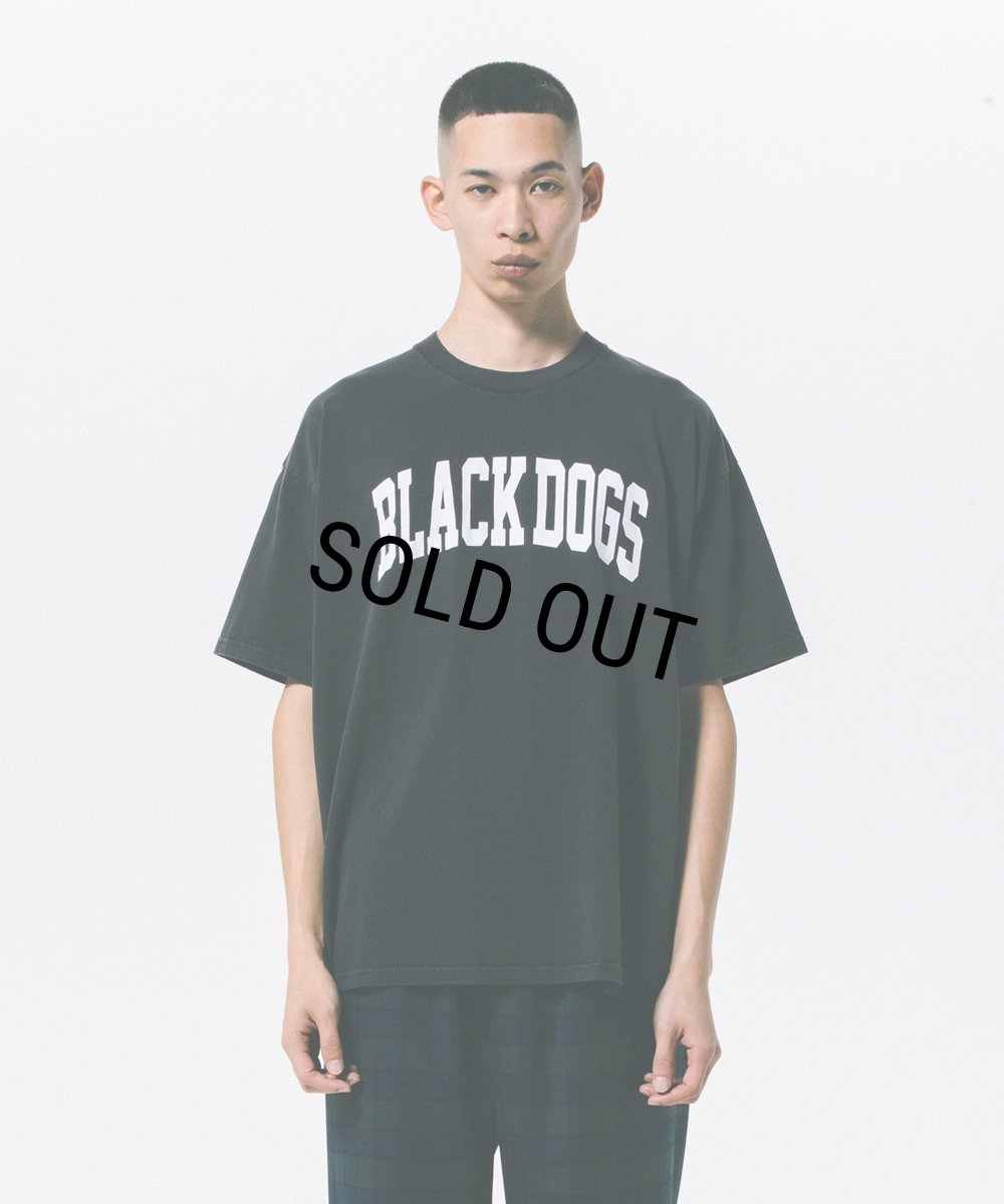 画像6: ROTTWEILER/PIGMENT B.D TEE（CHARCOAL）［プリントT-24春夏］ (6)