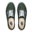 画像1: WACKO MARIA/VANS / V44 AUTHENTIC（GREEN）［オーセンティック-23秋冬］ (1)