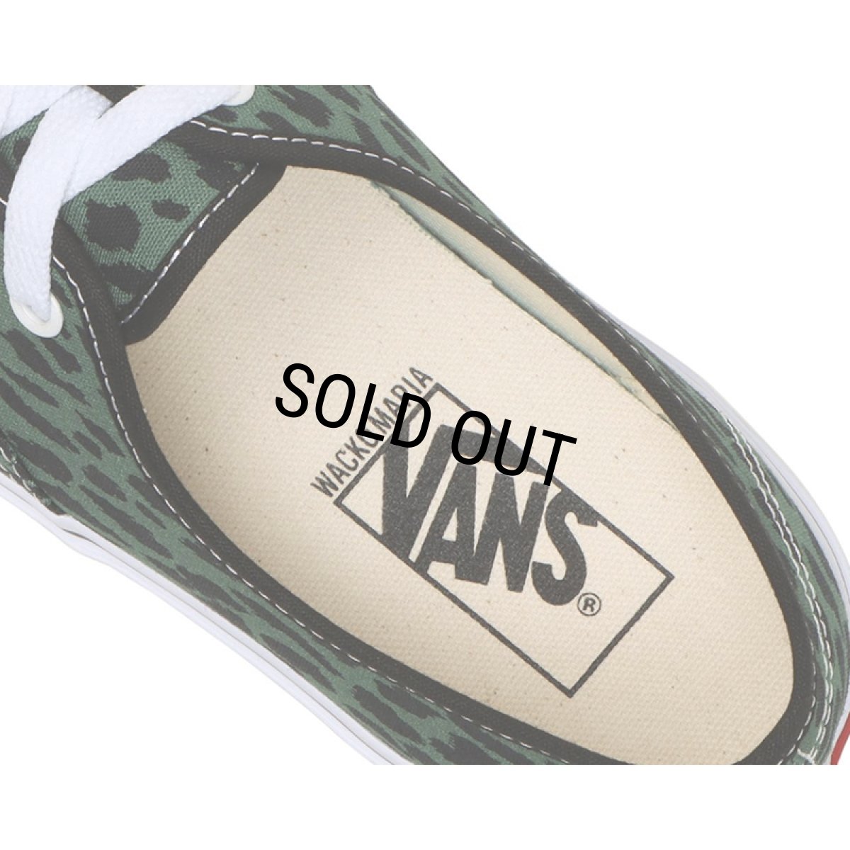 画像6: WACKO MARIA/VANS / V44 AUTHENTIC（GREEN）［オーセンティック-23秋冬］ (6)