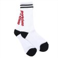 画像1: PORKCHOP/PORK SOX P-23 type-A（WHITE）［ソックス-24春夏］ (1)