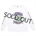 PORKCHOP/AP SKELETON L/S TEE（×AIRWALK CLASSICS）（WHITE）［プリント長袖T-24春夏］