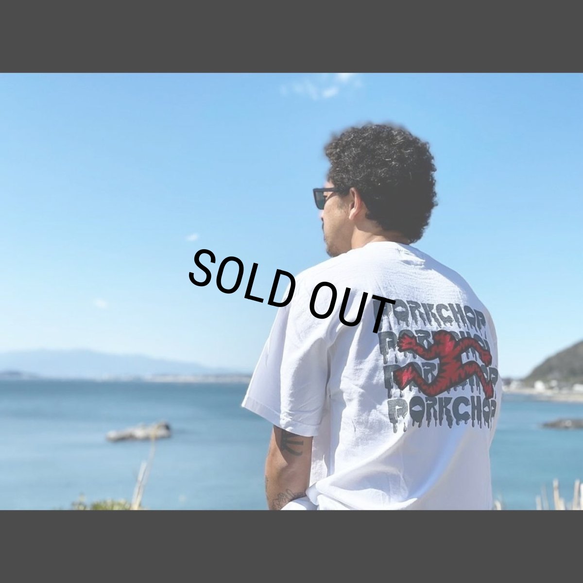 画像5: PORKCHOP/AP OLLIEMAN TEE（×AIRWALK CLASSICS）（WHITE）［プリントT-24春夏］ (5)