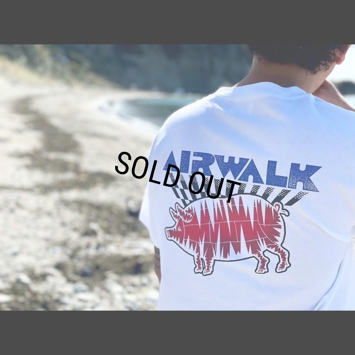 画像5: PORKCHOP/AIR PORK TEE（×AIRWALK CLASSICS）（WHITE）［プリントT-24春夏］ (5)