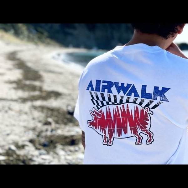 画像5: PORKCHOP/AIR PORK TEE（×AIRWALK CLASSICS）（WHITE）［プリントT-24春夏］