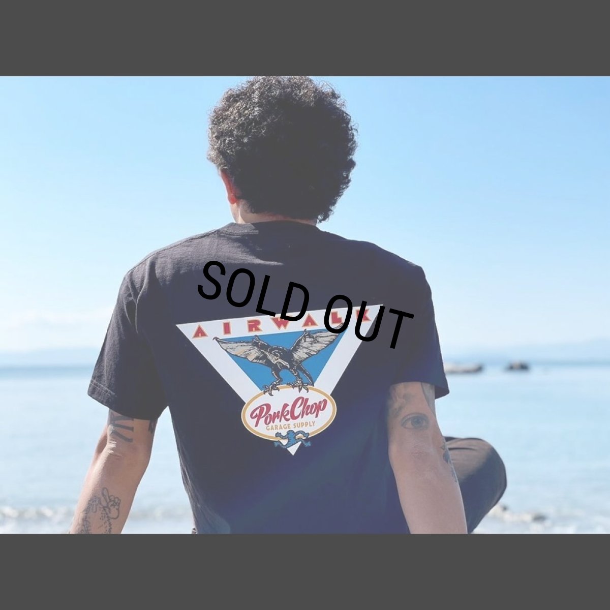 画像5: PORKCHOP/AP TRIANGLE TEE（×AIRWALK CLASSICS）（BLACK）［プリントT-24春夏］ (5)