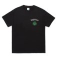 画像1: WACKO MARIA/HIGH TIMES / T-SHIRT（BLACK）［プリントT-24春夏］ (1)