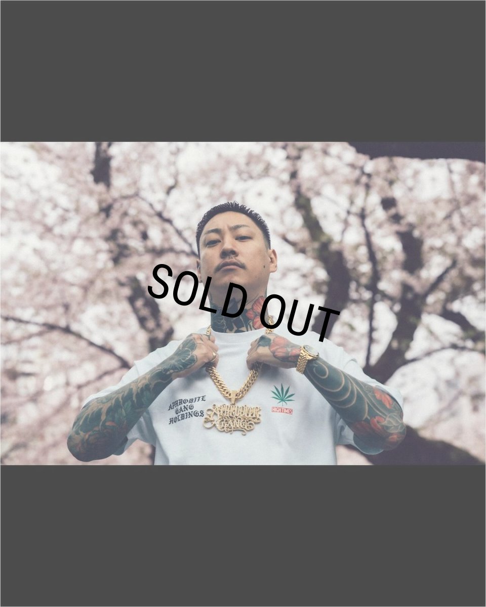 画像3: WACKO MARIA/舐達麻 / HIGH TIMES / T-SHIRT（WHITE）［プリントT-24春夏］ (3)