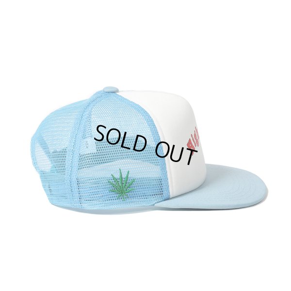 画像3: WACKO MARIA/HIGH TIMES / MESH CAP（BLUE）［メッシュキャップ-24春夏］