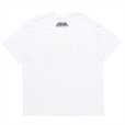 画像2: PORKCHOP/LOGO PORK TEE（WHITE）［プリントT-24春夏］ (2)