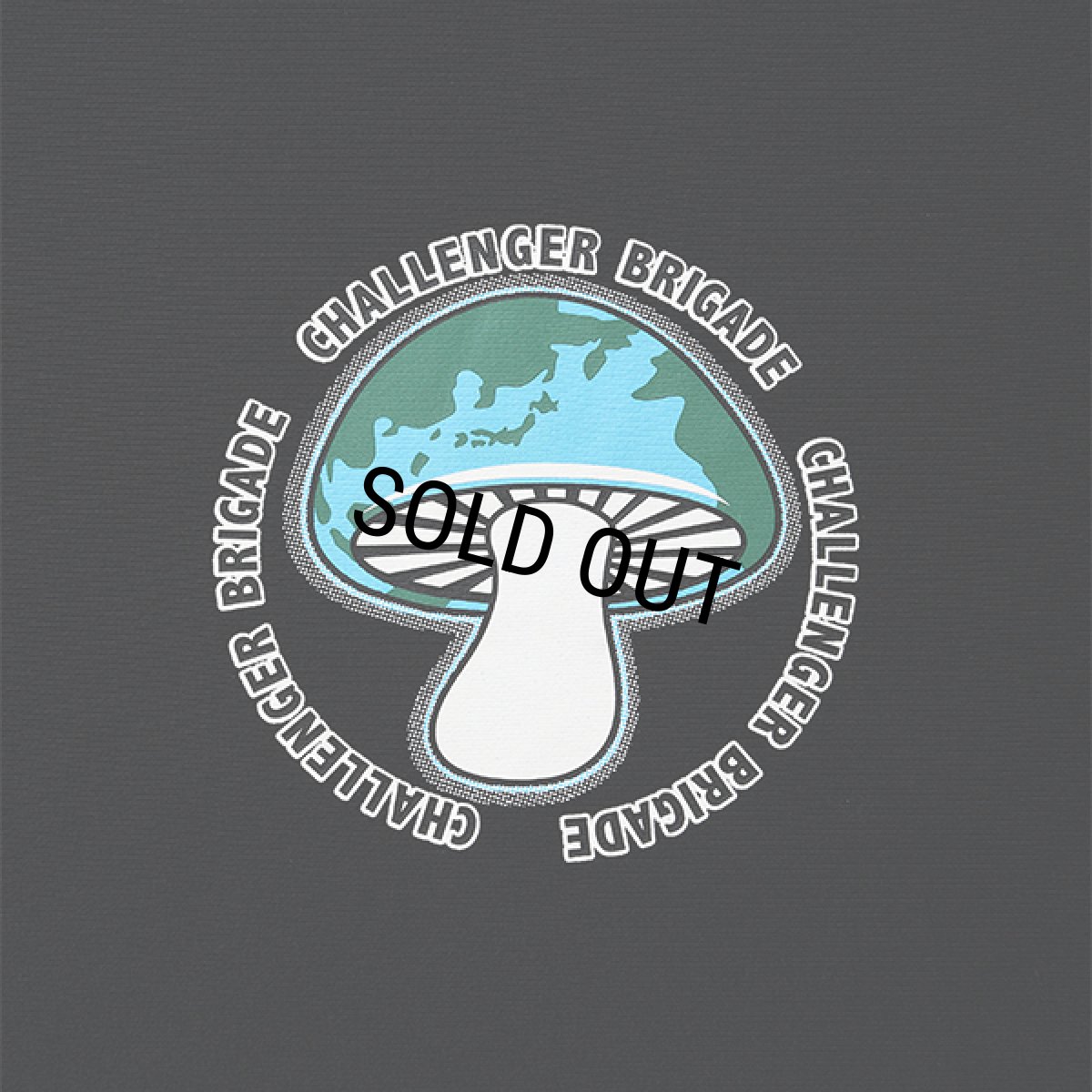 画像4: CHALLENGER/SHROOM HOODIE（BLACK）［プルオーバーパーカー-24春夏］ (4)