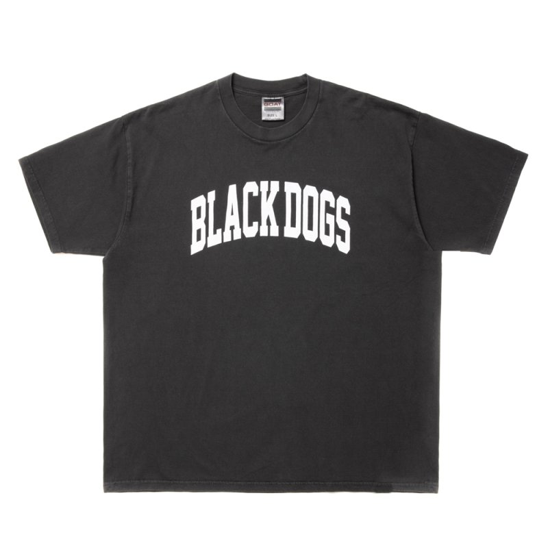 画像1: ROTTWEILER/PIGMENT B.D TEE（CHARCOAL）［プリントT-24春夏］
