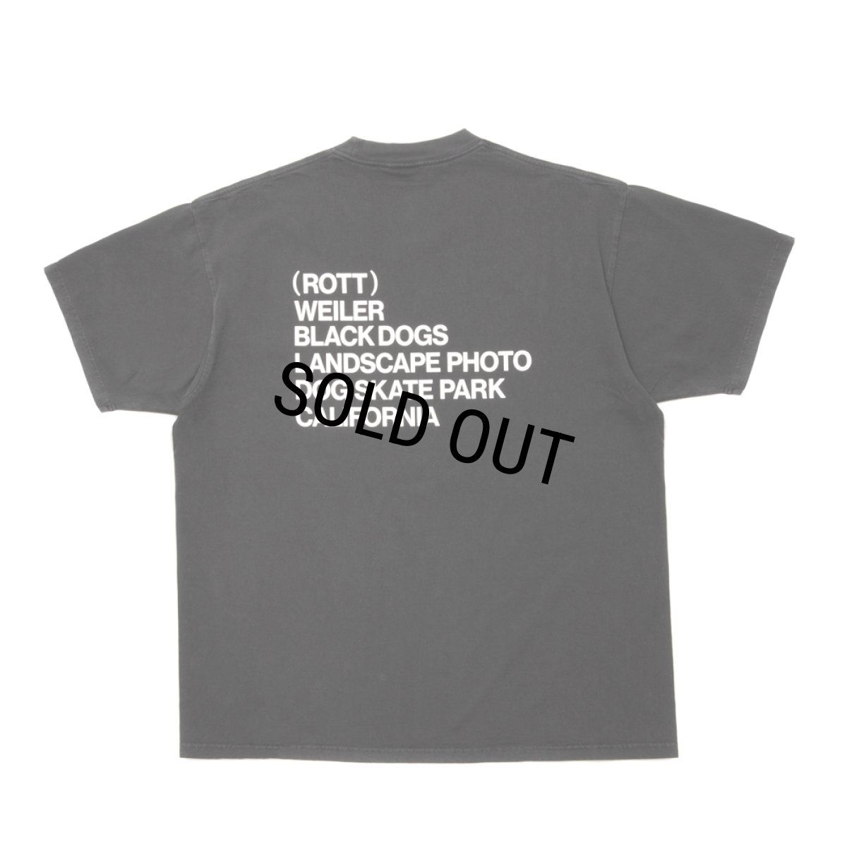 画像2: ROTTWEILER/PIGMENT PHOTO TEE（CHARCOAL） 【30%OFF】［プリントT-24春夏］ (2)