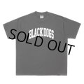 ROTTWEILER/PIGMENT B.D TEE（CHARCOAL）［プリントT-24春夏］