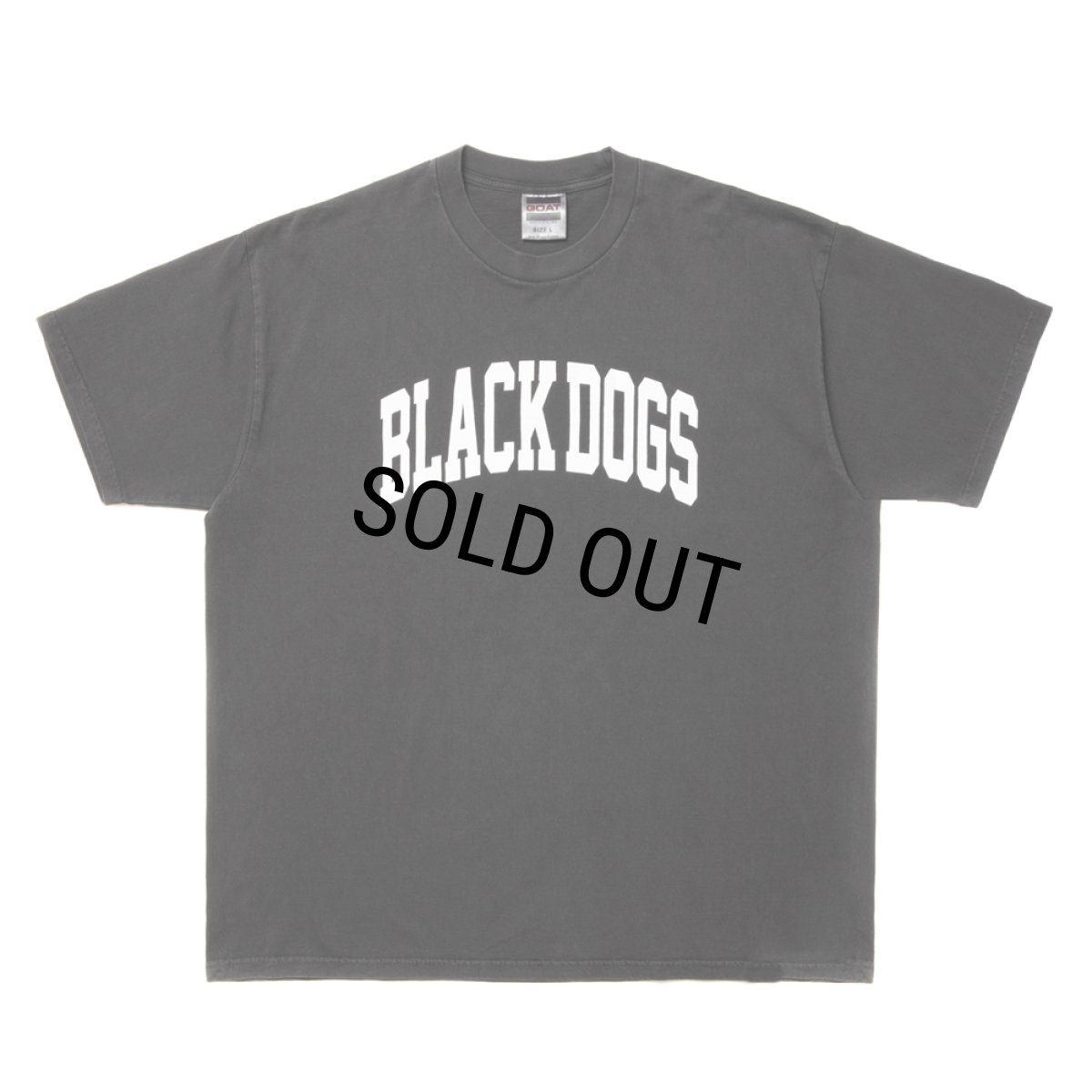 画像1: ROTTWEILER/PIGMENT B.D TEE（CHARCOAL）［プリントT-24春夏］ (1)