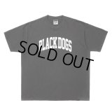 ROTTWEILER/PIGMENT B.D TEE（CHARCOAL）［プリントT-24春夏］
